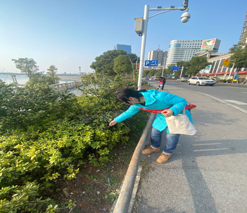 2.25޵潭ɨ