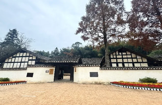 2024�궬��������չ�