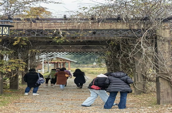 2024�궬��������չ�