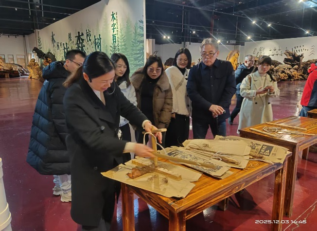 2024�궬��������չ�