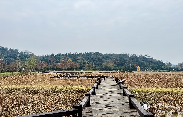 2024�궬��������չ�