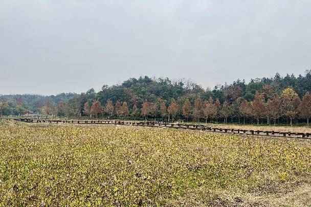 2024�궬��������չ�